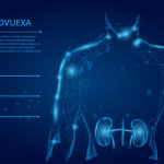 Lung infographic